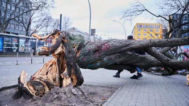 Nejméně tři lidé zemřeli v Německu při nehodách během silné bouře